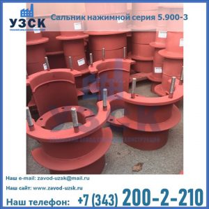 Сальники нажимные серия 5.900-3 в Прокопьевске